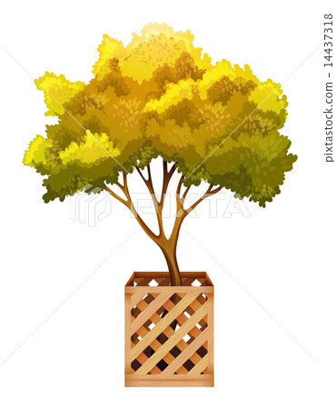 Plant Plant 14437318