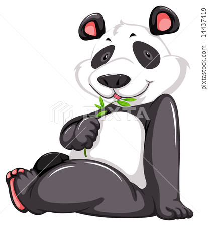 Cute panda bear 14437419