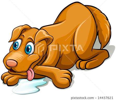 Tired dog panting 14437621