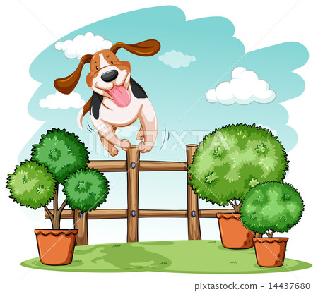 Dog jumping over the fence Dog jumping over the fence 14437680
