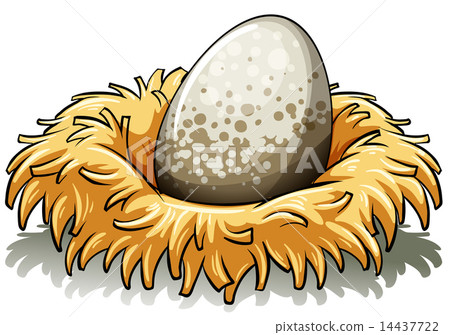 Nest with an egg Nest with an egg 14437722