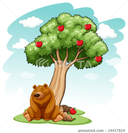Bear under the tree Bear under the tree 14437824
