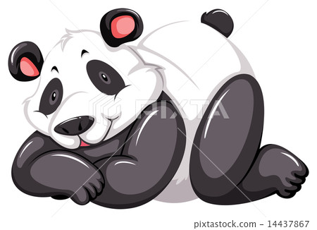 Adorable panda Adorable panda 14437867