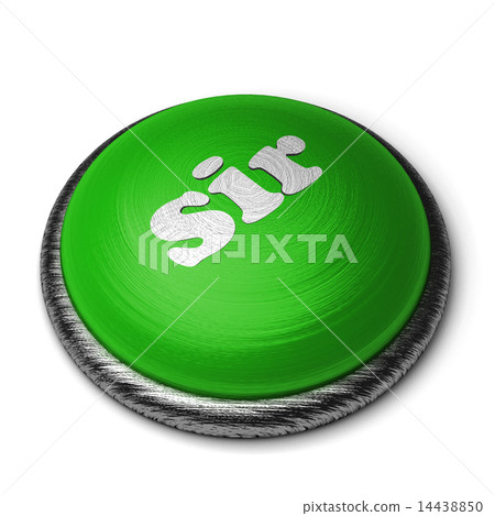 sir word on green button isolated on white 14438850