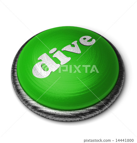 dive word on green button isolated on white dive word on green button isolated on white 14441800