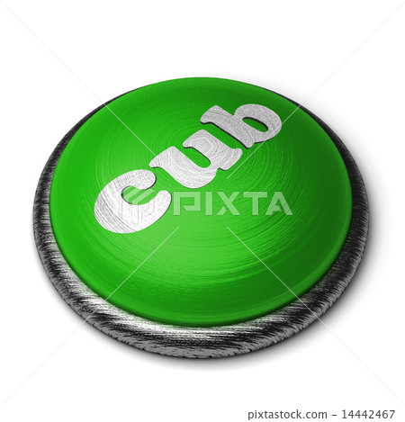 cub word on green button isolated on white cub word on green button isolated on white 14442467