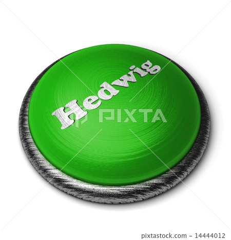 Hedwig word on green button isolated on white 14444012