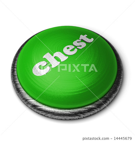 chest word on green button isolated on white chest word on green button isolated on white 14445679