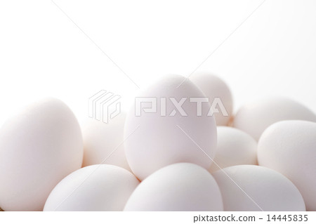 An egg An egg 14445835