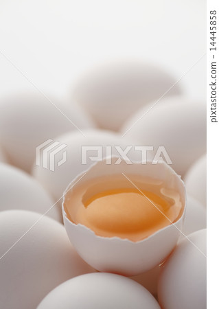An egg 14445858