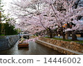Cherry blossoms in Kyoto · Takase River and Takase 14446002