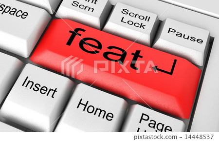 feat word on white keyboard 14448537