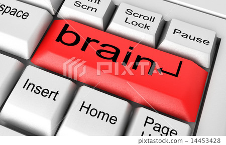 brain word on white keyboard 14453428