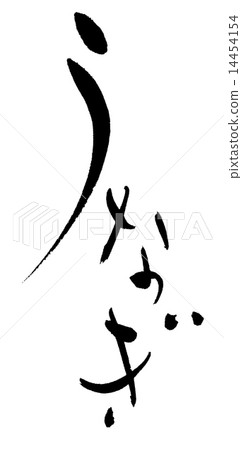 eel 14454154