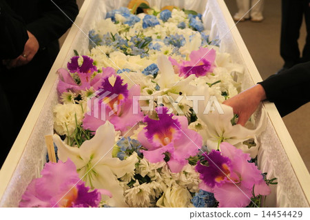 The last parting 14454429