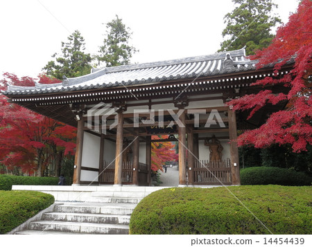 The mountain gate of Noshi-ji Temple, colored with autumn leaves 14454439