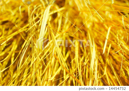 Yellow dry grass background. Yellow dry grass background. 14454732