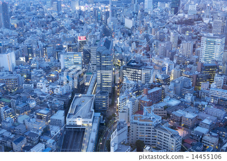 Tokyo city landscape Twilight seeing Shibuya and Ebisu from an overhead view 14455106