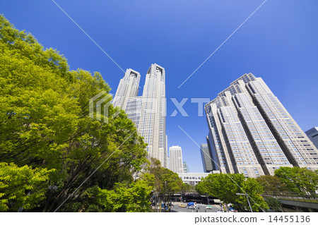 在新鮮的綠色天空中仰望東京都政府 在新鮮的綠色天空中仰望東京都政府 14455136