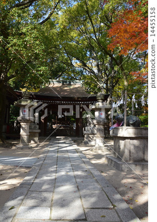 Kikusui Tenma Shrine (Minatogawa Shrine Shrine Pref. / Hyogo Prefecture Kobe City Chuo-ku Higher Distribution) Kikusui Tenma Shrine (Minatogawa Shrine Shrine Pref. / Hyogo Prefecture Kobe City Chuo-ku Higher Distribution) 14455158