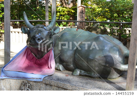 Kikusui Tenman Shrine's "Wrestling Cathedral" (Minatogawa Shrine Shrine Pref. / Hyogo Prefecture Kobe City Chuo-ku Higher Distribution) 14455159