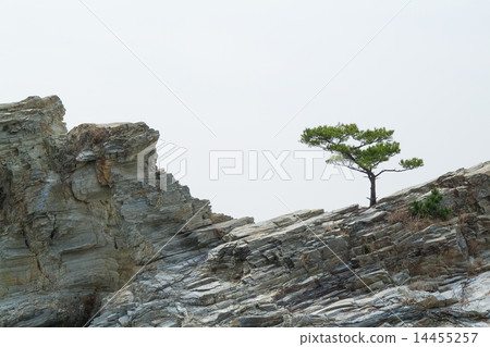 蓬萊岩石巨石 14455257