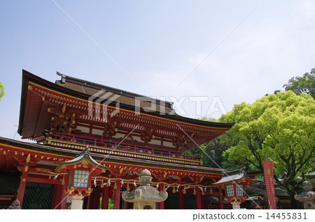 Dazaifu Tenman-nan Shrine Dazaifu Tenman-nan Shrine 14455831