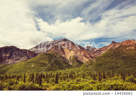 Mountains on Alaska Mountains on Alaska 14456061