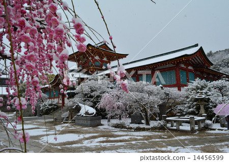 防府天滿宮 14456599