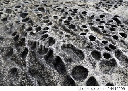 The rocks of Wakayama The rocks of Wakayama 14456609