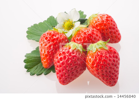 Strawberry  14456840