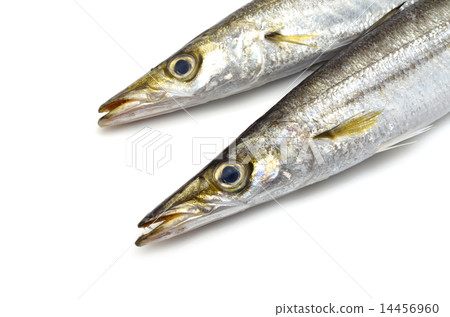 Camas 14456960