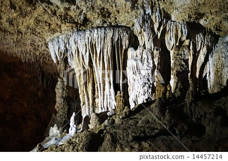 Tamadon-dong -4 14457214