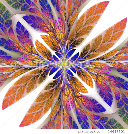 Diagonal symmetrical pattern of the leaves Diagonal symmetrical pattern of the leaves 14457501