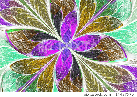 Multicolored fractal flower or butterfly  14457570