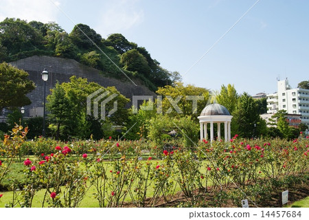 Vernie Park 14457684