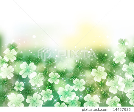 Clover background 14457925