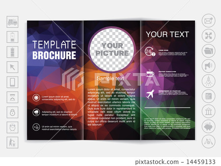 Tri-Fold Brochure mock up vector design.  14459133