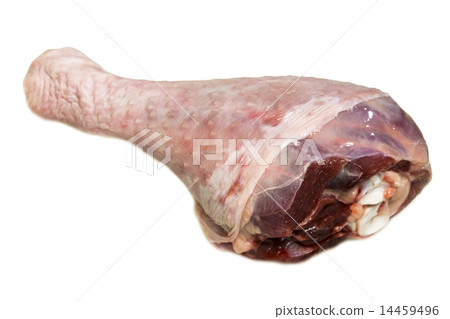 Turkey drumstick Turkey drumstick 14459496