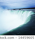 尼亞加拉 14459605