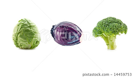 three cabbage 14459753