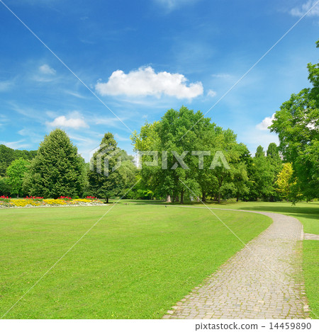 Beautiful meadow in the park 14459890