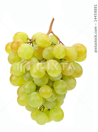bunch of grapes 14459891