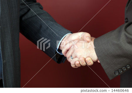 Business Negotiations 14460646