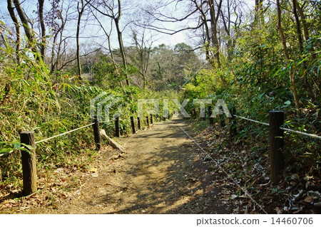 公園路 14460706