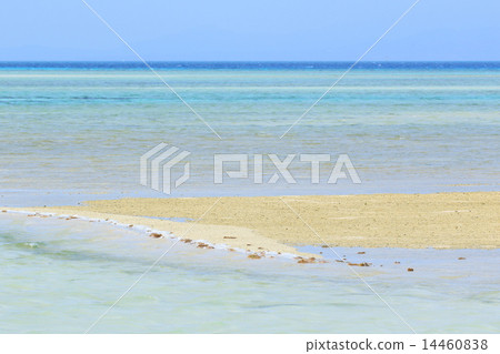 Subtropical beach Subtropical beach 14460838