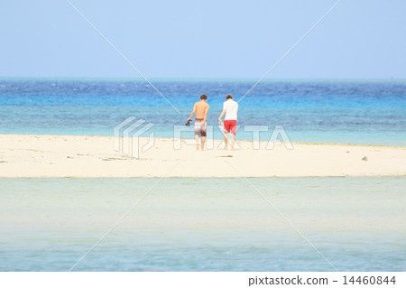 亞熱帶海灘 14460844