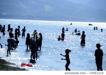 海水浴客戶的剪影 14461214