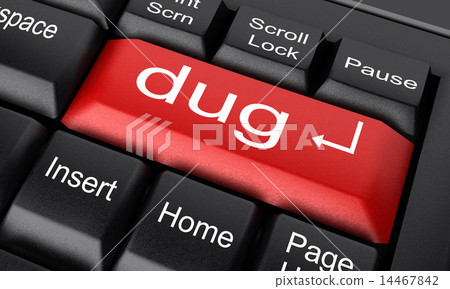 dug word on red keyboard button 14467842