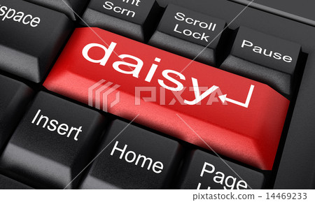 daisy word on red keyboard button daisy word on red keyboard button 14469233